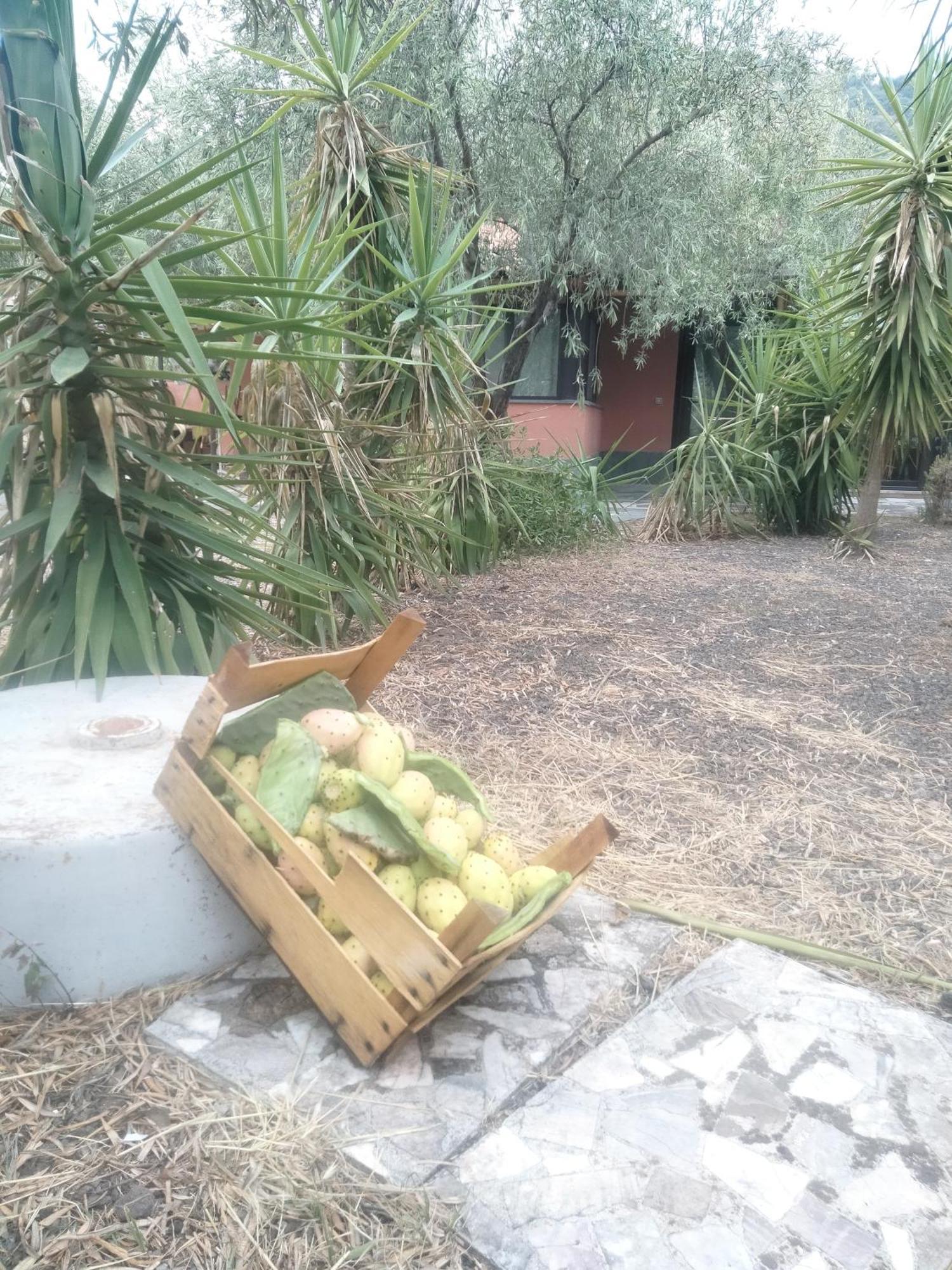 Casa Cuntarati - Nature Tourism Villa Bronte Esterno foto